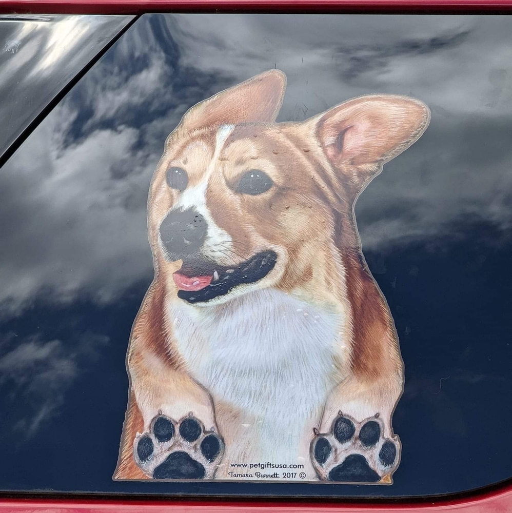 Adorable life size corgi car sticker window decal